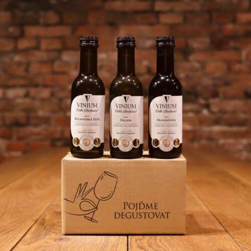 Degustační boxík (6 × 0,187 l)